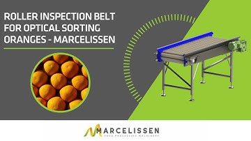 Roller Inspection Belt for Optical Sorting Oranges - Marcelissen