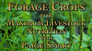 Forage Crops for Maximum Livestock Nutrition with Paige Smart