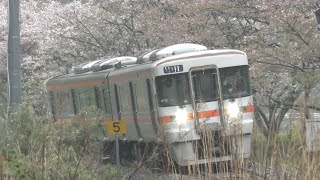 JR東海キハ25形1500.1600番台(M112編成)普通新宮行き　紀勢本線阿曽〜伊勢柏崎