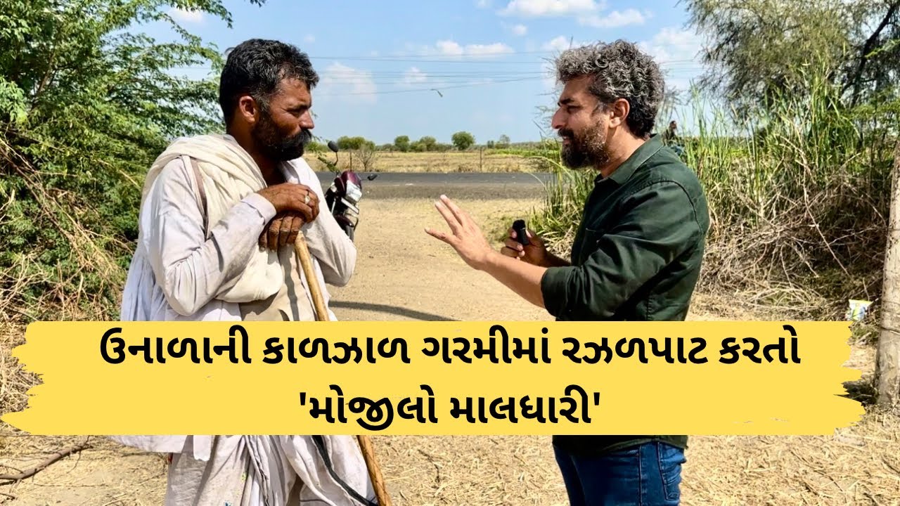 ભર ઉનાળે માલઢોર લઈ રઝળપાટ કરવી પડતી હોવા છતાં આ માલધારી મોજીલો છે @VisheshwithDinesh | Gujarati