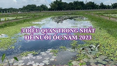 Cần Chuẩn Bị Điều Gì Trước Khi Nuôi Ốc Bươu Đen, Ốc Nhồi năm 2023