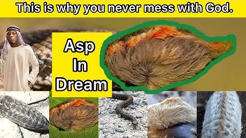 He Dream about Asp & this happen in Reality even if you watch on CNN you can’t believe it free