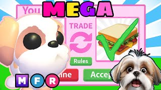 Bad Trade? I Trade Away My First Mega Shih Tzu Dog In Adopt Me 🐶🌈