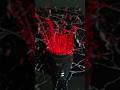 JBL Charge 6: Extreme Red Paint Eruption! 🔴🔊