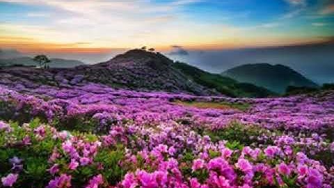 سورة الحديد •  رعد محمد الكردي |  Raad Mohammad Al Kurdi • Surah Al Hadid