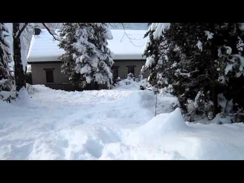 Bergamasco sheepdog CUBA on snow