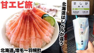 【甘エビ旅！北海道 羽幌～増毛】甘エビ丼(浜のかあちゃん食堂)・タコザンギ(おびら鰊番屋道の駅)・朝食バイキング(CABIN旭川)・酒粕甘酒,サクランボソフト(国稀酒造)・ネコバス(トトロ峠)【4K】