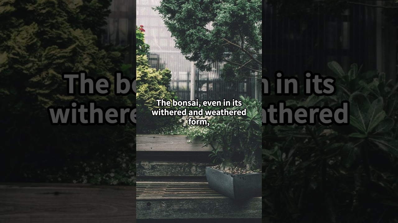 【BONSAI 30 (6/30)】Beauty in the Withered Branch 