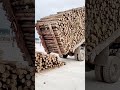 cool skills of truck drivers to unload wood cargo #shorts