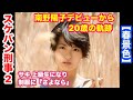 スケバン刑事2 「春景色」南野陽子さんの歴史 安眠用音源