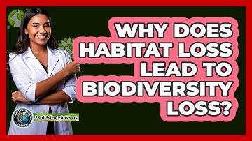 Why Does Habitat Loss Lead To Biodiversity Loss? - Earth Science Answers