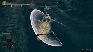 [Elden Ring PvP] And My Savage Lions Claw!