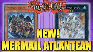 NEW MERMAIL ATLANTEAN SUPPORT! | Yu-Gi-Oh!