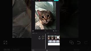 4k HDR cc tutorial #shorts #fypviral #capcut #cc