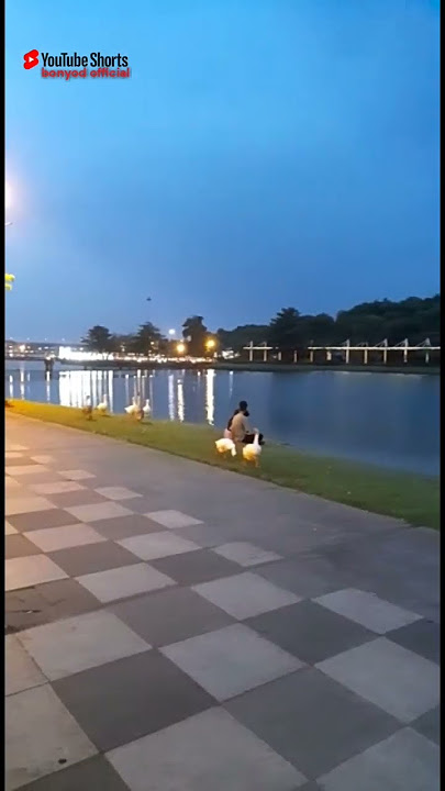 sia sia mengharap cintamu#shorts