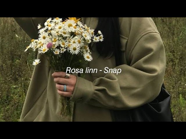 Rosa Linn - SNAP (Tradução / Letra) 