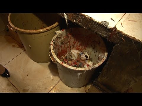 გაფრთხილება : მასალა შეიცავს შოკისმომგვრელ კადრებს