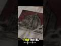 America’s Most Haunted hotel 🏨🥶? #ushistory #americanhistory #film #viral