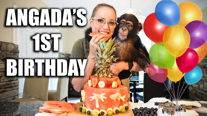 BABY CHIMP'S First Birthday!