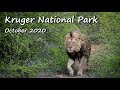 Kruger National Park Trip - October 2020