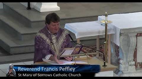 2nd Sunday of Advent (Year A) Homily: Repent, Confess, Bear Fruit. 12/4/2022