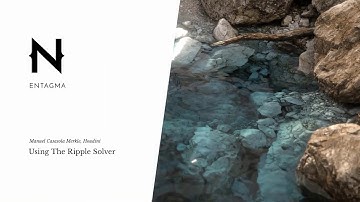 Using The Ripple Solver