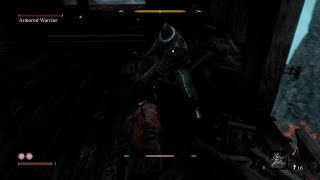 Sekiro Shadows Die Twice the way to immortalty sevresnes