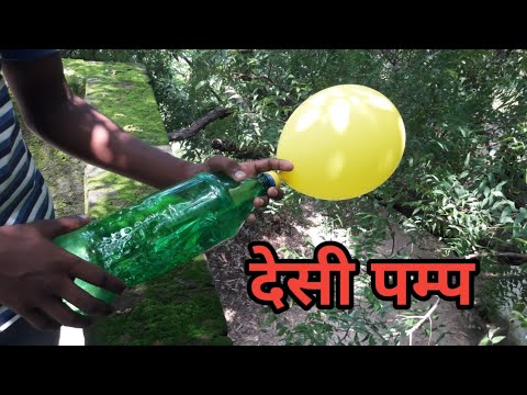 वीडियो: गुब्बारे का फूल कैसे उगाएं?