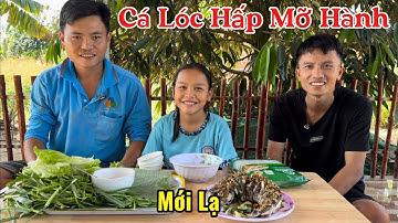 Trải Nghiệm Mới Lạ Món Cá Lóc Đồng Hấp Mỡ Hành | Trần Thanh 93