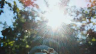 My Innocent Devil - Youll Crush Me, Its Okay.