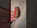 Episode One of Making Fruit Caterpillars: Strawberry Caterpillar Pot Cling 🐛🍓
