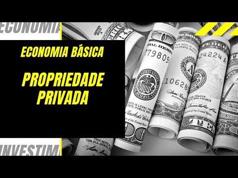 Vídeo: O Que é Propriedade Na Economia