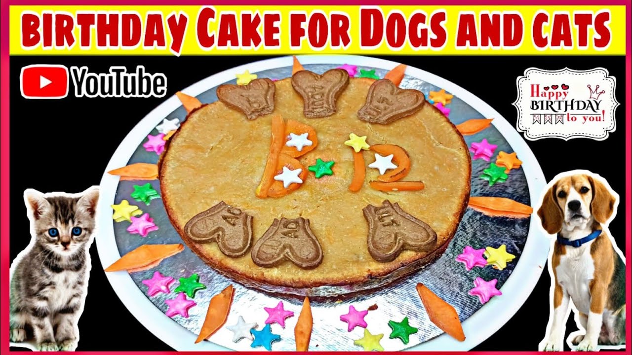 Dog Birthday Cake Recipe Pet Birthday Non veg Cake Recipe Homemade 