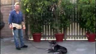 Download lagu Leilee down