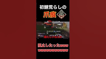 【APEX】初鯖荒らしの爪痕を阻止したったwww #short #shorts #apex #apexlegends