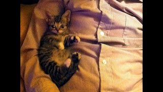 BABY BUBs second day home!