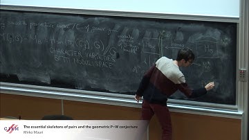 Mirko Mauri : The essential skeletons of pairs and the geometric P=W conjecture