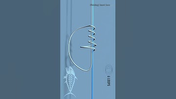 Double Uni Knot for Leader to braid