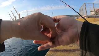 ψάρεμα 18 4 2026 LRF δοκιμή & βελτίωση πονηρής αρματωσιάς για σιλικόνες με άριστο αποτέλεσμα