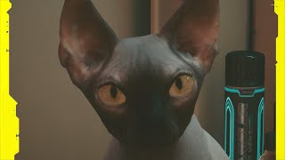 Nibbles - Cyberpunk 2077 vs Witcher 3