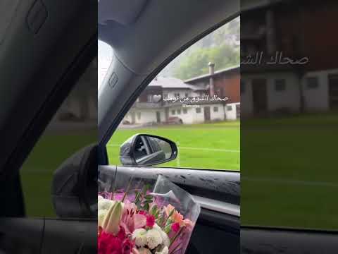 صحاك الشوق فضل شاكر Trending ترند 2025 Shorts Short Shortvideo