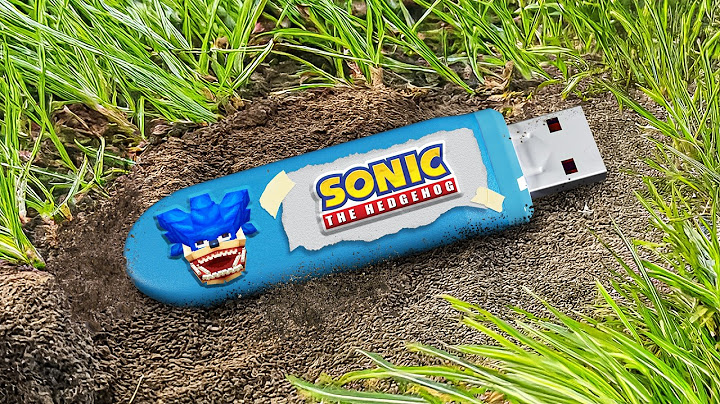 I Found SONIC's Secret Minecraft USB…