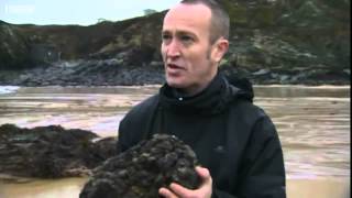 Beach find could be whale ambergris