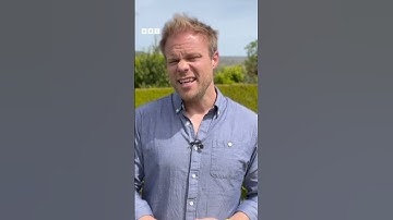 UK weather ☀️ How long will the sunny weather last? | Newsround