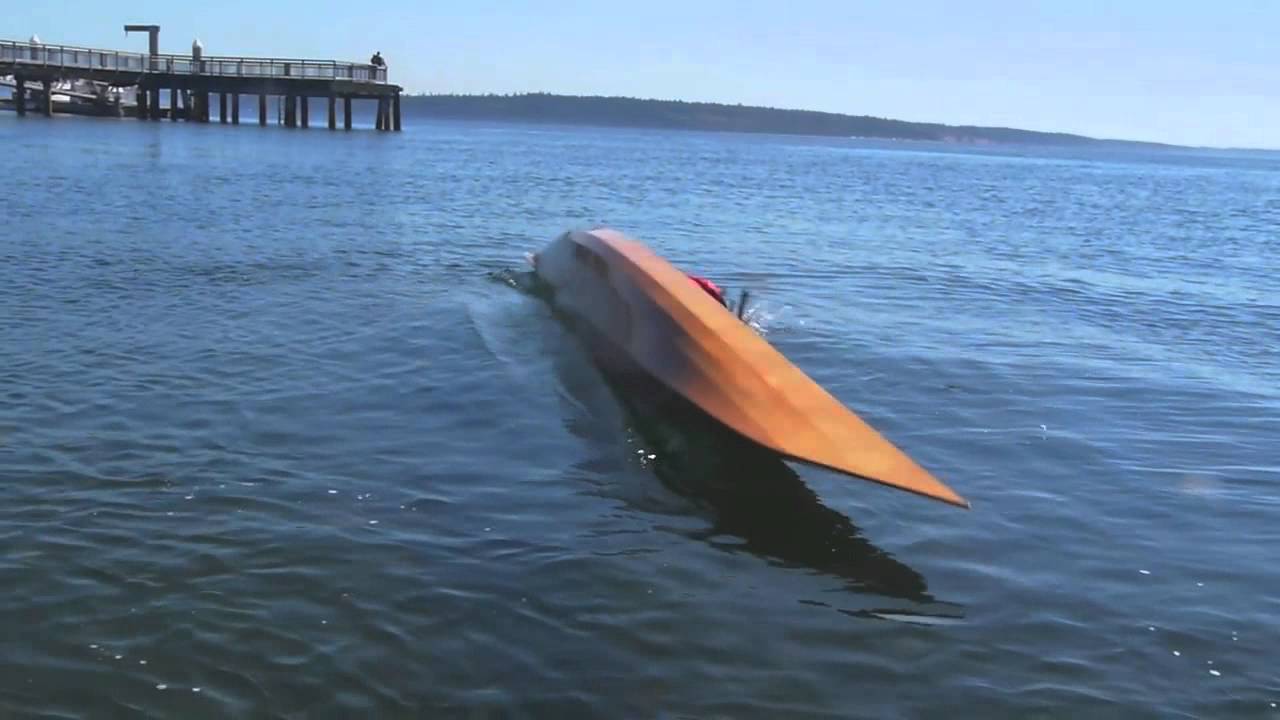 The butterfly roll: in Pygmy Murrelet SDC