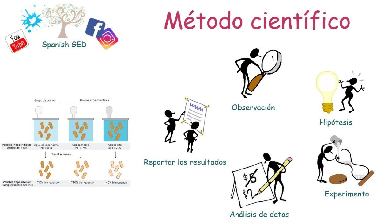 Las Etapas Del Metodo Cientifico Video Didactico Youtube Images