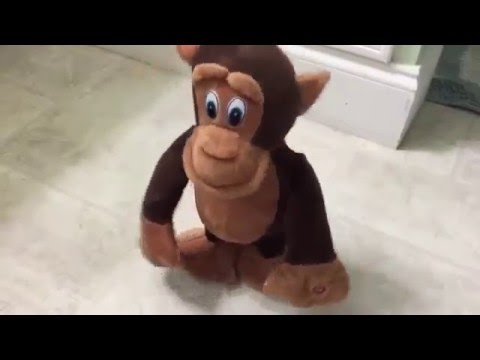 singing monkey toy