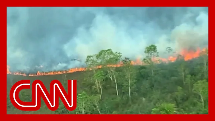 Flying above the Amazon fires: 'All you can see is death' - DayDayNews