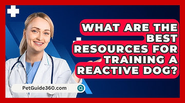 What Are The Best Resources For Training A Reactive Dog? - PetGuide360.com