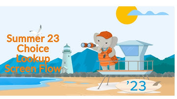 Salesforce - Summer 23 Flow release - Choice Lookup Feature